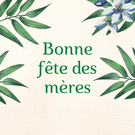 Fruits et fleurs pour c&eacute;l&eacute;brer maman
